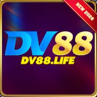 dv88life