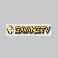 gavangtvwork1