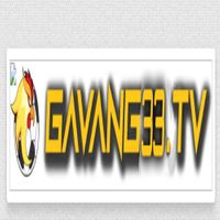 gavang33com