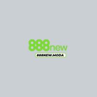 888newmoda1