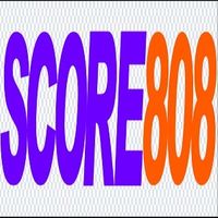 score808goaltop