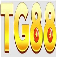 tg88z1com