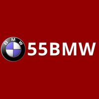 55bmworgphtop