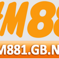 hm881gbnet11