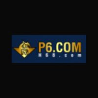 p6apporg1v