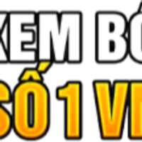 socolive78livee