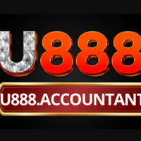 u888accountant