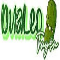 dualeotruyenbg