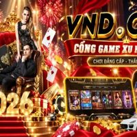 vn881jpnet2