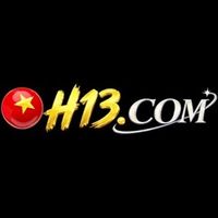 h13digital1