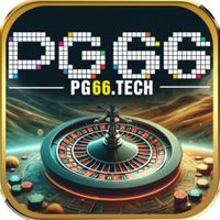 pg66tech