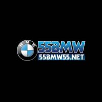 55bmw55net