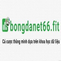 bongdanetfit