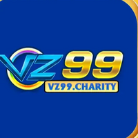 vz99charity