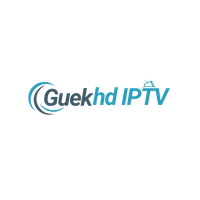 guekhdiptvorg1