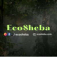 ecosheba1242