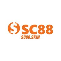 sc88skin1