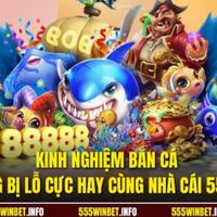 555winbetinfo
