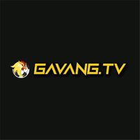 gavangtvllc2