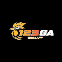 123gaapp11