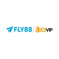 fly88jrcom