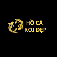 hocakoidep