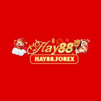 hay88forex