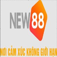 new8868com