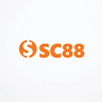 c88seocom11