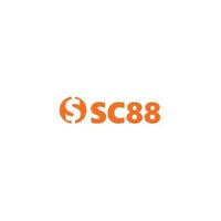 c88seocom2