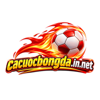 cacuocbongdain