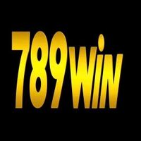 wincomnetwork2