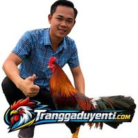 traigaduyenti