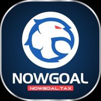 nowgoaltax