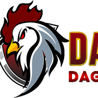 daga22housses