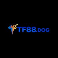 tf88dog