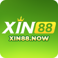 xin88now