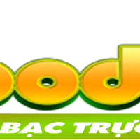 good88qqcom