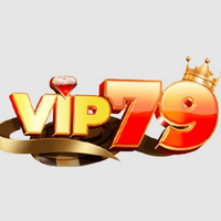 vip79cam