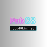 pub88innet
