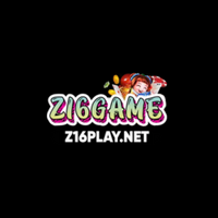 z16playnet1