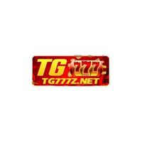 tg777znet