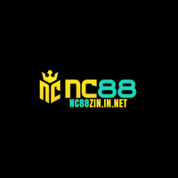 Nc88zininnet