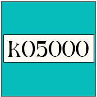 ko5000