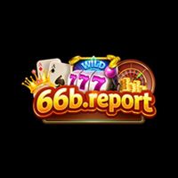 66breport