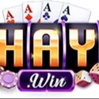 haywinvipjpnet