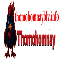 thomohomnayblvi