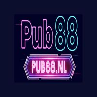 pub88nl