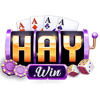 haywinvipjpnet1