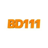 bd111art